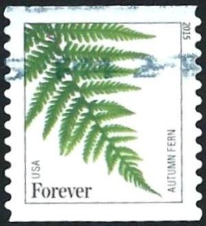 Colnect-2729-803-Autumn-fern-Dryopteris-erythrosora.jpg