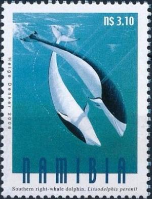 Colnect-3372-587-Southern-rightwhale-dolphins.jpg