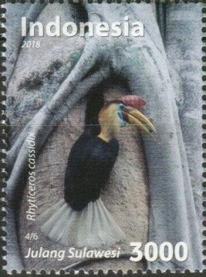 Colnect-5970-550-Knobbed-Hornbill-Rhyticeros-cassidix.jpg