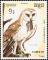 Colnect-1523-497-Western-Barn-Owl-Tyto-alba.jpg