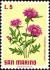 Colnect-1874-661-Whitewash-Cornflower-Centaurea-dealbata.jpg