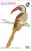Colnect-5593-942-Red-billed-Hornbill-Tockus-erythrorhynchus.jpg