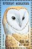Colnect-1458-228-Western-Barn-Owl-Tyto-alba.jpg