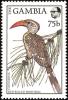 Colnect-2123-672-Red-billed-Hornbill-Tockus-erythrorhynchus.jpg