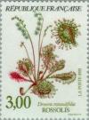 Colnect-146-121-Drosera-rotundifolia---Rossolis.jpg