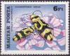 Colnect-586-501-Capricorn-Beetle-Chlorophorus-varius-Yarrow-Achillea-asp.jpg