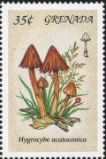 Colnect-3061-948-Hygrocybe-acutoconica.jpg