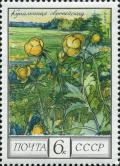 Colnect-5548-770-Trollius-europaeus.jpg