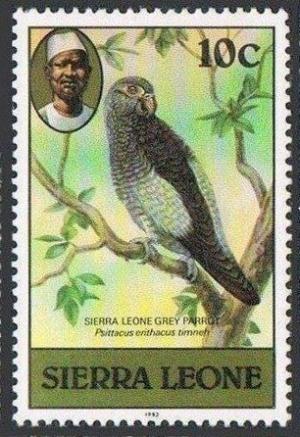 Colnect-1673-327-Grey-Parrot-Psittacus-erithacus.jpg
