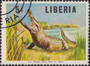 Colnect-1949-119-Slender-snouted-Crocodile-Crocodylus-cataphractus.jpg