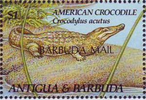 Colnect-2183-273-American-Crocodile-Crocodylus-acutus.jpg