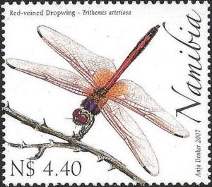 Colnect-3055-551-Red-veined-Dropwing-Trithemis-arteriosa-.jpg