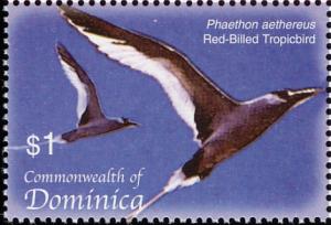 Colnect-3202-507-Red-billed-Tropicbird-Phaethon-aethereus.jpg