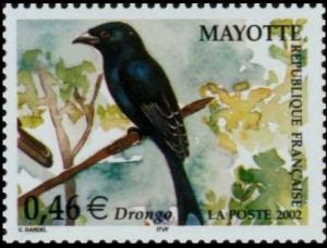 Colnect-851-131-Mayotte-Drongo-Dicrurus-waldenii-.jpg