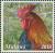 Colnect-6135-927-Rooster-Tambala.jpg