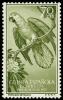 Colnect-1534-663-Grey-Parrot-Psittacus-erithacus.jpg