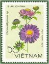 Colnect-1627-156-Purple-chrysanthemum.jpg