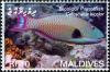 Colnect-2362-914-Bicolour-Parrotfish-Cetoscarus-bicolor.jpg