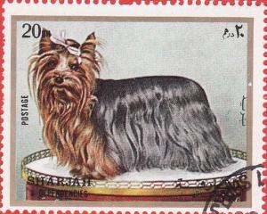 Colnect-1406-434-Yorkshire-Terrier-Canis-lupus-familiaris.jpg