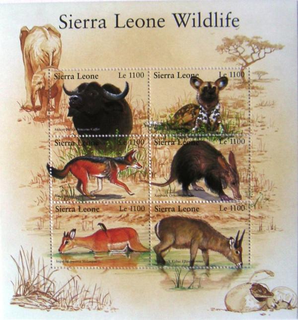 Colnect-542-724-Sierra-Leone-Wildlife.jpg