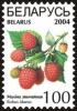 Colnect-1058-275-Raspberries---Rubus-idaeus-.jpg