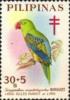 Colnect-2901-869-Great-billed-Parrot-Tanygnathus-megalorhynchos.jpg