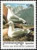 Colnect-1527-030-European-Herring-Gull-Larus-argentatus.jpg