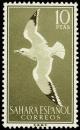 Colnect-1397-853-European-Herring-Gull-Larus-argentatus.jpg