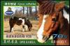 Colnect-5840-442-Horse-Equus-caballus.jpg
