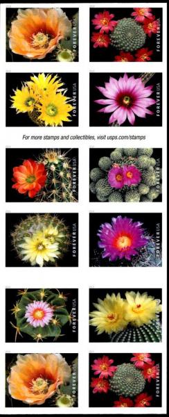 Colnect-5929-652-Cactus-Flowers-booklet-pane-of-20-stamps.jpg