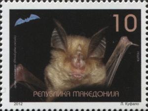 Colnect-3071-710-Mediterranean-Horseshoe-Bat-Rhinolophus-euryale.jpg