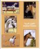 Colnect-3056-450-Arabian-Horses-Equus-ferus-caballus.jpg