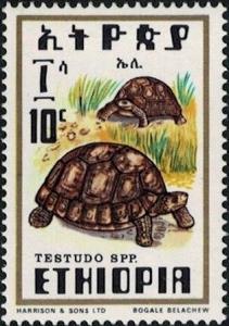 Colnect-5218-109-Tortoise-Testudo-sp.jpg