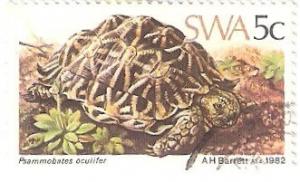 Colnect-2833-039-Serrated-Tortoise-Psammobates-oculifer.jpg