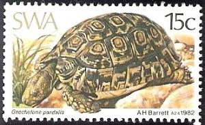 Colnect-2833-040-Leopard-Tortoise-Geochelone-pardalis.jpg