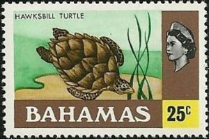 Colnect-3272-977-Hawksbill-Turtle-Eretmochelys-imbricata.jpg