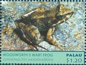Colnect-4992-723-Woodworth-s-Wart-Frog-Limnonectes-woodworthi.jpg