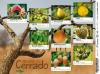 Colnect-3524-164-Fruits-of-Cerrado.jpg