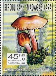 Colnect-3136-526-Russula-annulata.jpg