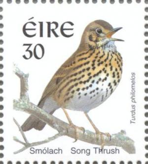 Colnect-129-572-Song-Thrush-Turdus-philomelos.jpg