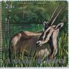 Colnect-1324-069-Beisa-Oryx-Oryx-gazella-beisa.jpg