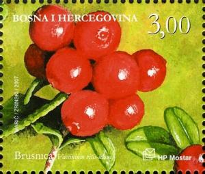 Colnect-5875-595-Lingonberry-Vaccinium-vitis-idaea.jpg
