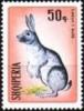 Colnect-1409-861-Domestic-Rabbit-Oryctolagus-cuniculus-f-domestica.jpg