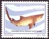 Colnect-2392-609-Sand-Tiger-Shark-Odontaspis-taurus.jpg