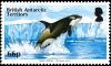 Colnect-3521-056-Killer-Whale-Orcinus-orca.jpg