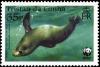 Colnect-3655-995-Subantarctic-Fur-Seal-Arctocephalus-tropicalis.jpg