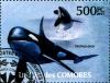 Colnect-3798-600-Killer-Whale-Orcinus-orca.jpg