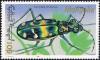Colnect-4961-922-Chinese-Tiger-Beetle-Cicindela-chinensis.jpg