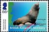 Colnect-5350-461-Antarctic-Fur-Seal-Arctocephalus-gazella.jpg