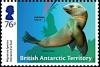 Colnect-5350-462-Antarctic-Fur-Seal-Arctocephalus-gazella.jpg